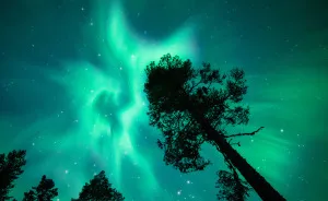 Northern Lights That I Photographed In My Native Finland
