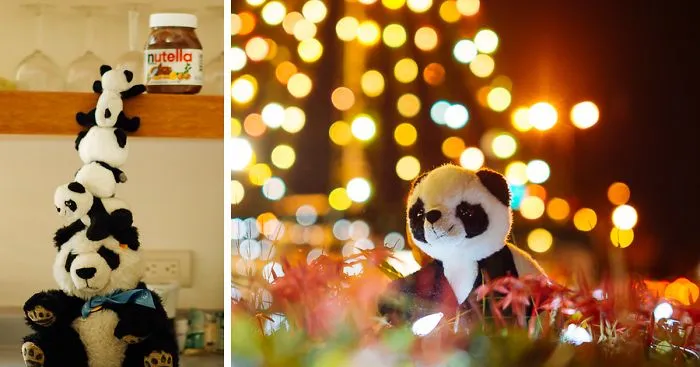 I Take My Pandas With Me On Photographic Adventures