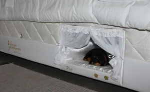 This Bed Has A Tiny Compartment For Your Pet So That You Can Sleep Together