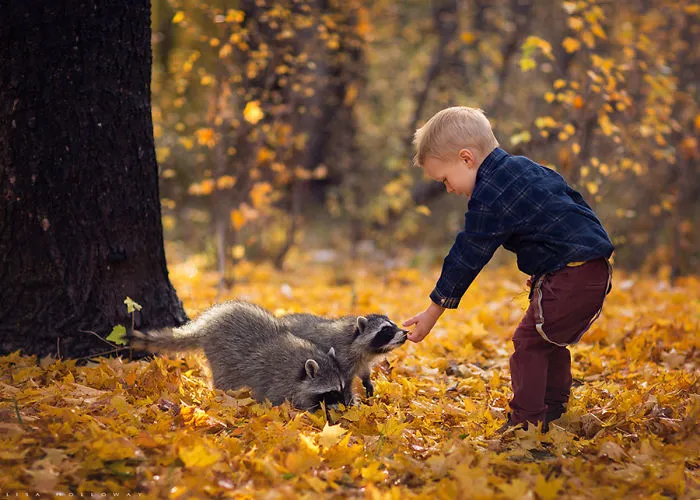 Lisa Holloway, Usa