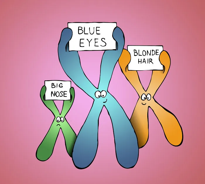 Physiology For Kids