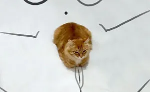 Challenge: Doodle This Cat Photo To Give Him New Adventures (261 Pics)
