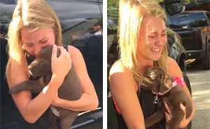 Guy Proposes To His Girlfriend With A Puppy And She Just Can't Hold Her Emotions