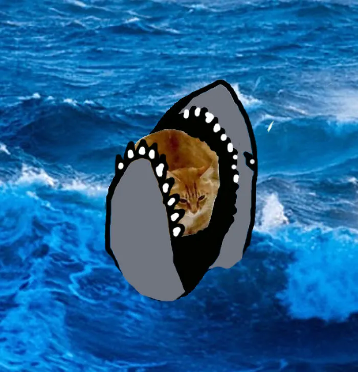 Shark Bait!