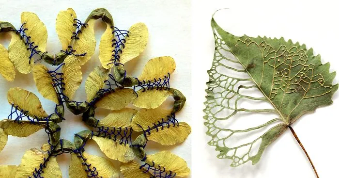 I Transform Leaves Into Art With Embroidery