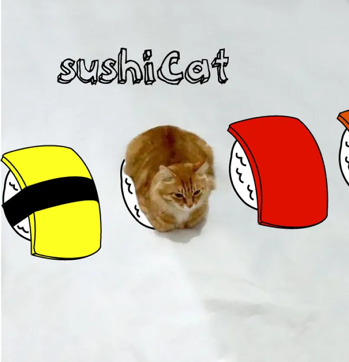 Sushicat