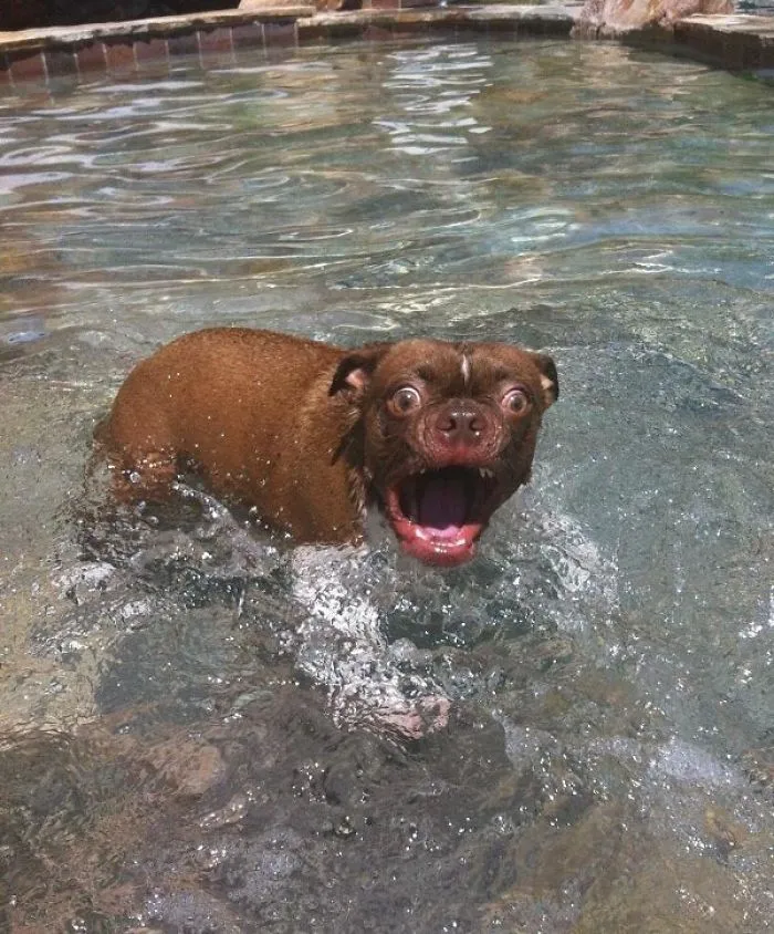 You Didn't Tell Me It Would Be Wet!!