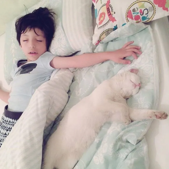 Cat Returns Home With A Note Revealing She Has A Secret Family