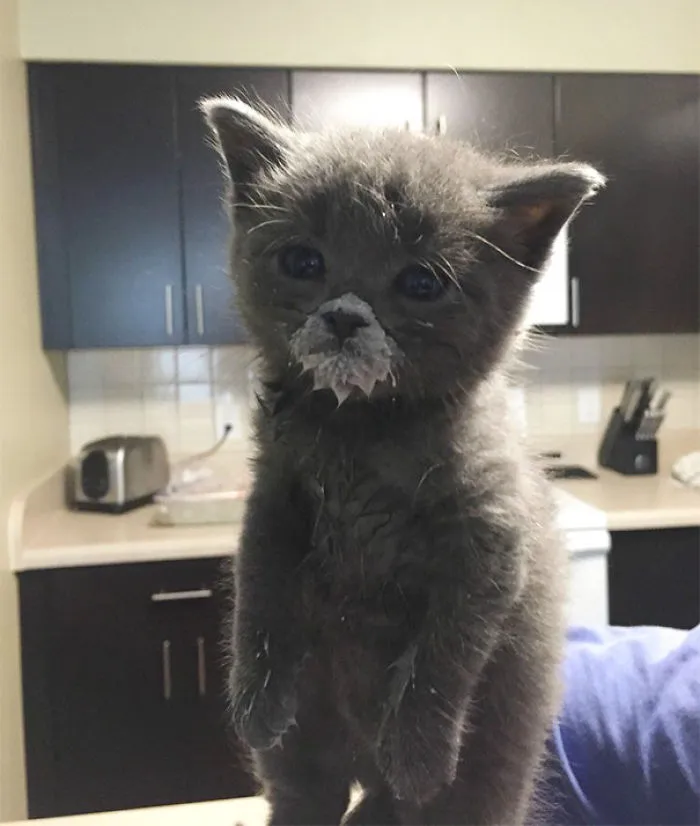 15+ Photos Of Animals Eating That’ll Make You Smile