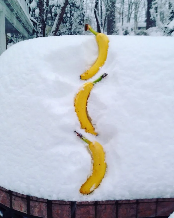 For Those Needing An Update On How Much Snow Dc Is Getting
