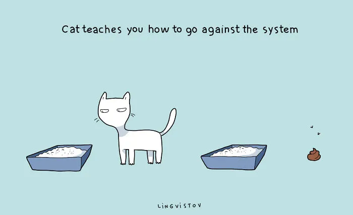 21 Benefits Of Having A Cat