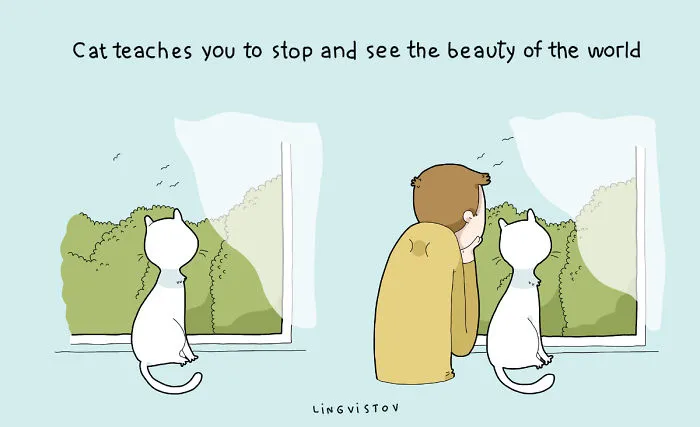 21 Benefits Of Having A Cat