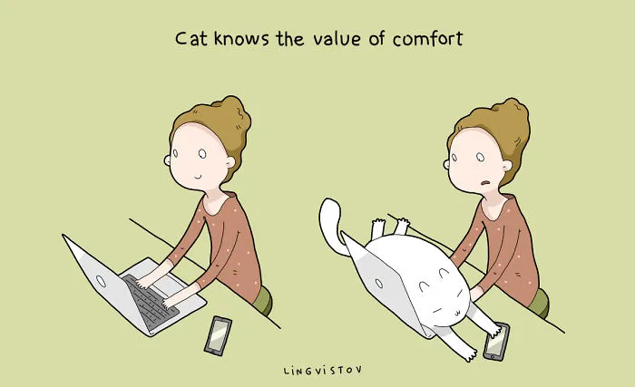 21 Benefits Of Having A Cat