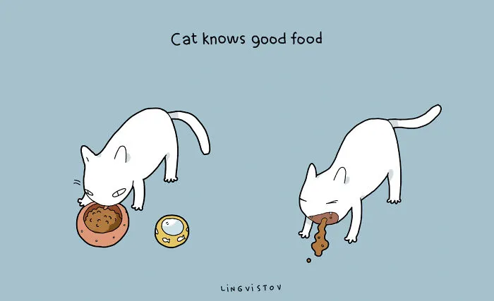 21 Benefits Of Having A Cat