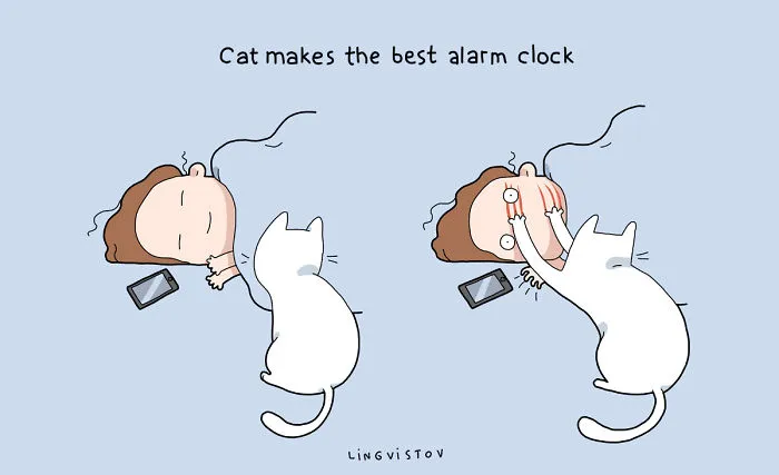 21 Benefits Of Having A Cat