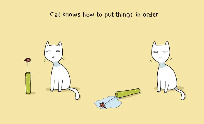 21 Benefits Of Having A Cat