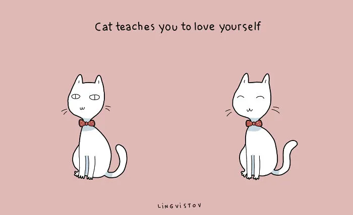 21 Benefits Of Having A Cat