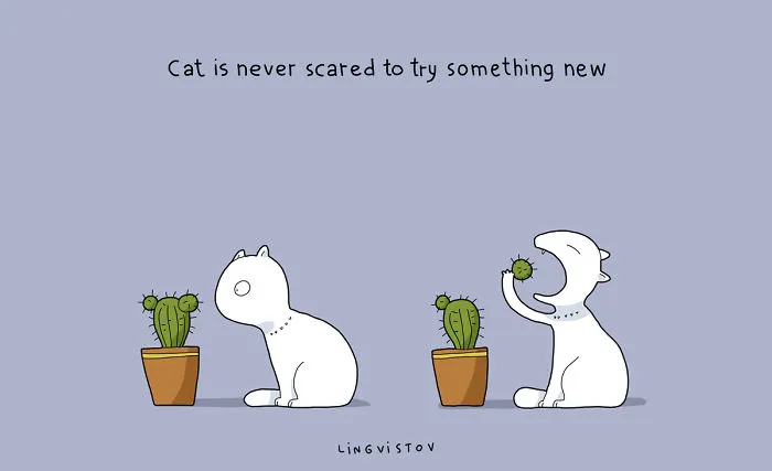21 Benefits Of Having A Cat