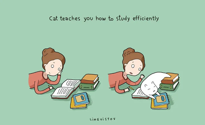 21 Benefits Of Having A Cat