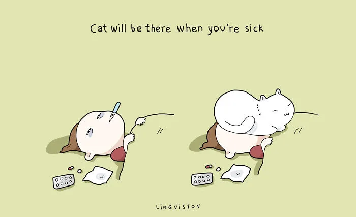 21 Benefits Of Having A Cat