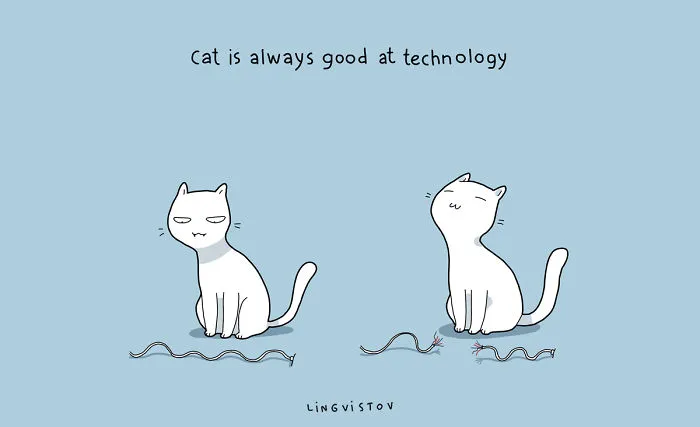 21 Benefits Of Having A Cat