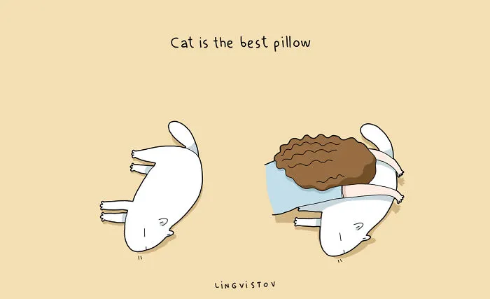 21 Benefits Of Having A Cat