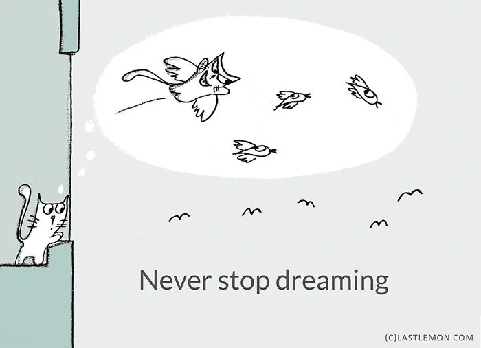 Life Lessons From Cats