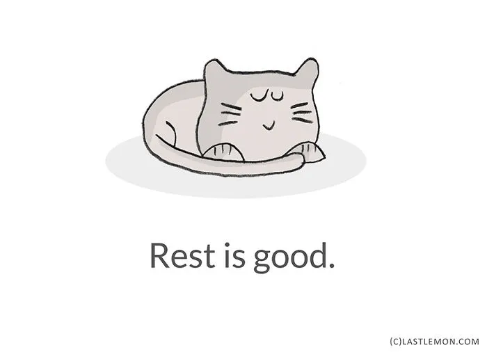 Life Lessons From Cats