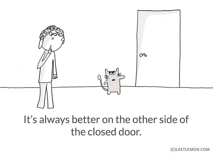 Life Lessons From Cats