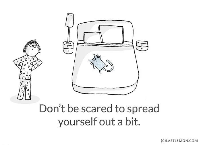 Life Lessons From Cats