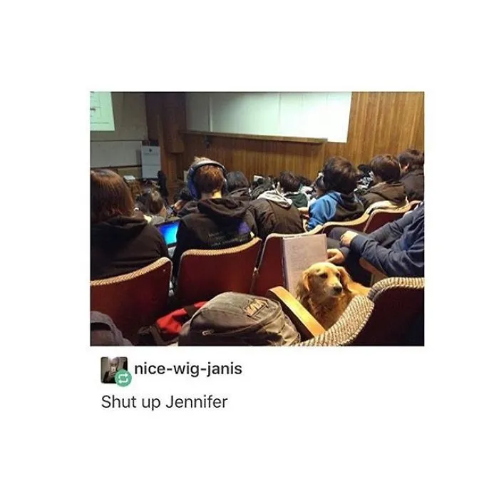 30 Great Pics To Improve Your Mood