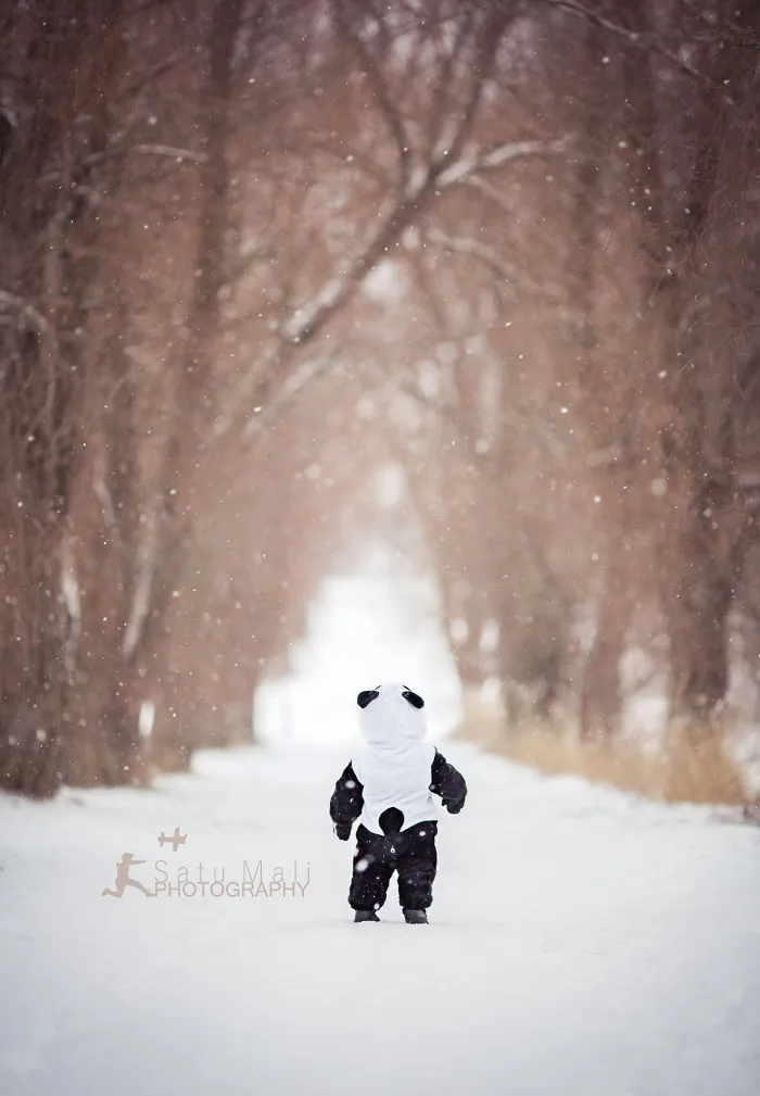 Tiny Bored Freezing Panda Is Amazed Of First Snow