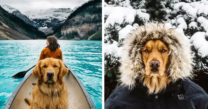 Human Takes His Dog On Epic Adventures, Proves That Dogs Are The Best Travel Buddies