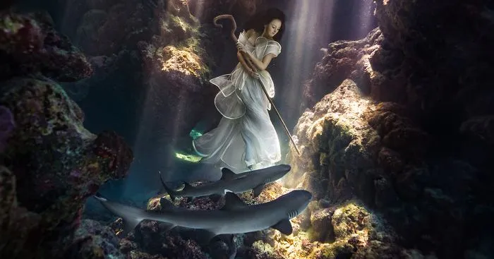 I Tied Down A Model Underwater With Sharks Swimming Around Her