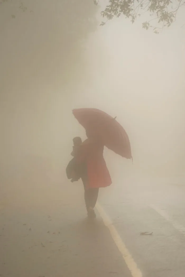 Vietnam -flavor, Aroma, Color