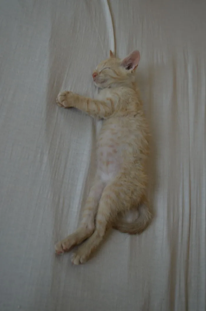 Bundle Of Joy