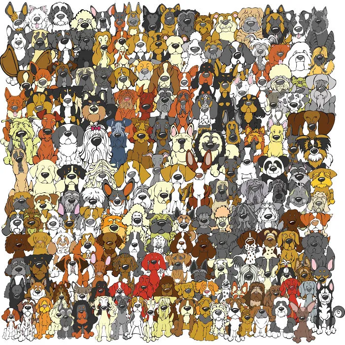 Find The Panda: Dog Edition
