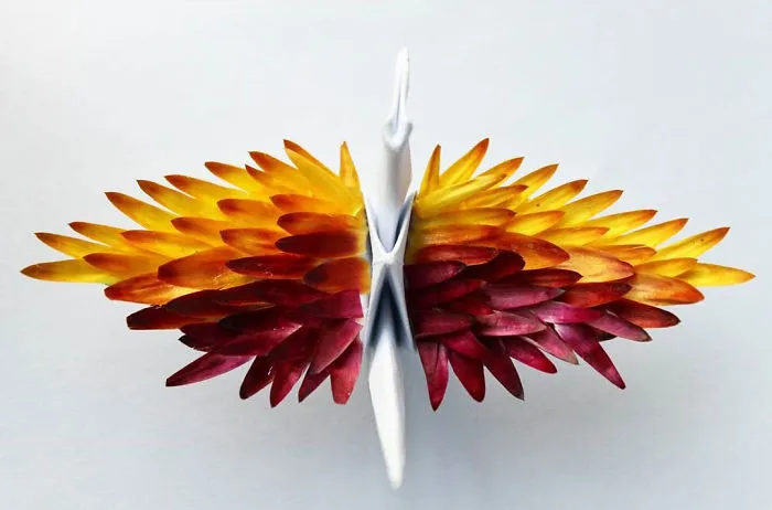 I Made An Origami Crane To Describe Each Day For The Past 365 Days