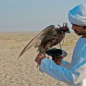Ibrahim Sheikh