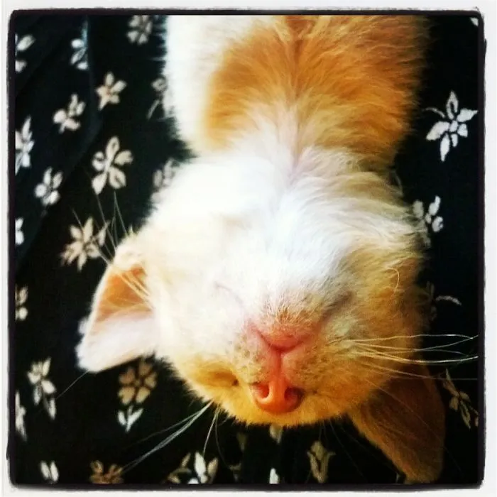 Upside Down