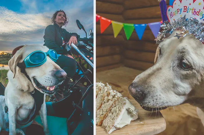 Motorcycle Dog Celebrates 11th Birthday On The Road!