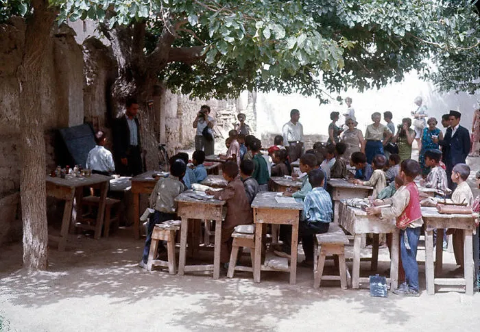 Education Under The Trees