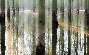 After The Flood