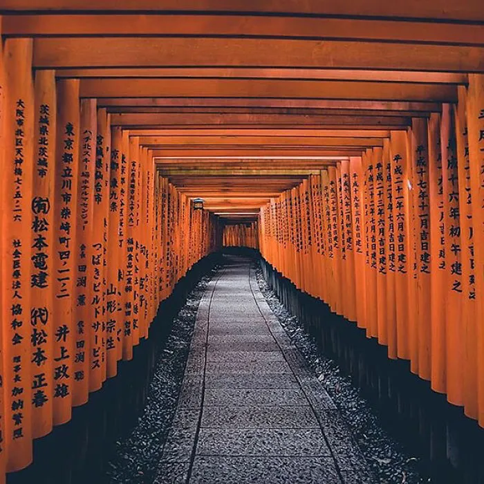 This Symmetry-Filled Instagram Will Satisfy Every Perfectionist’s Soul