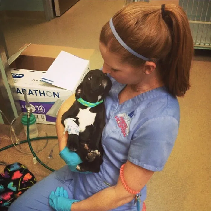 A Sick Puppy Looking Grateful. My Friend Is A Vet Tech And Just Posted This