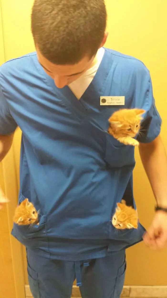 Perks Of Working At The Animal Hospital