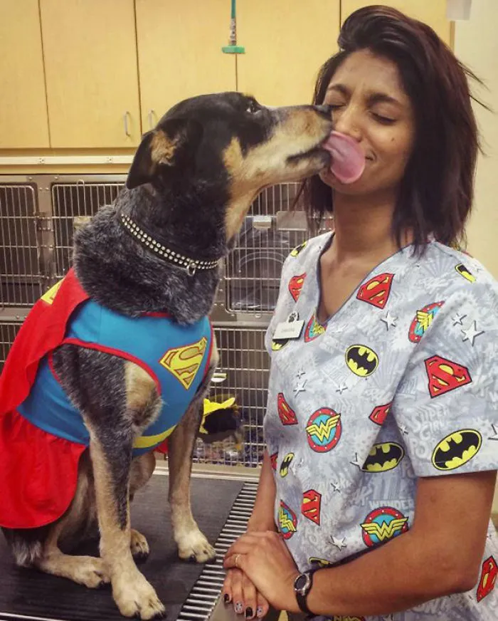 Vet Tech And Dog Love