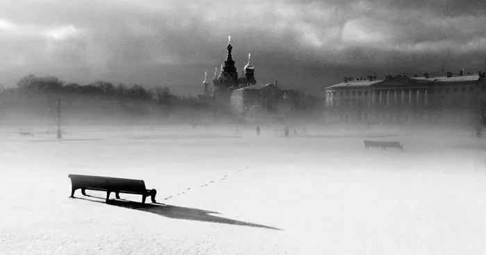 The Beauty Of Winter Captured In Minimalist Pictures