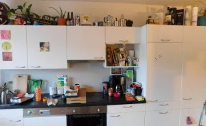 Can You Find My Cat Pedro In This Pic?