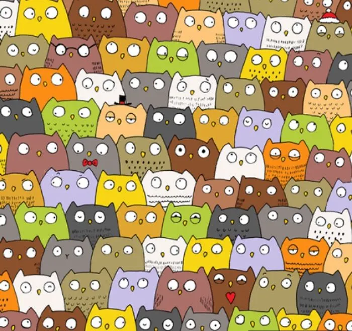 Can You Find The Cat Among These Owls?